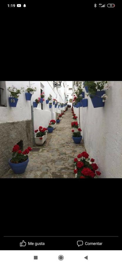 La Posada Vivienda Turistica Rural Algar  Bagian luar foto